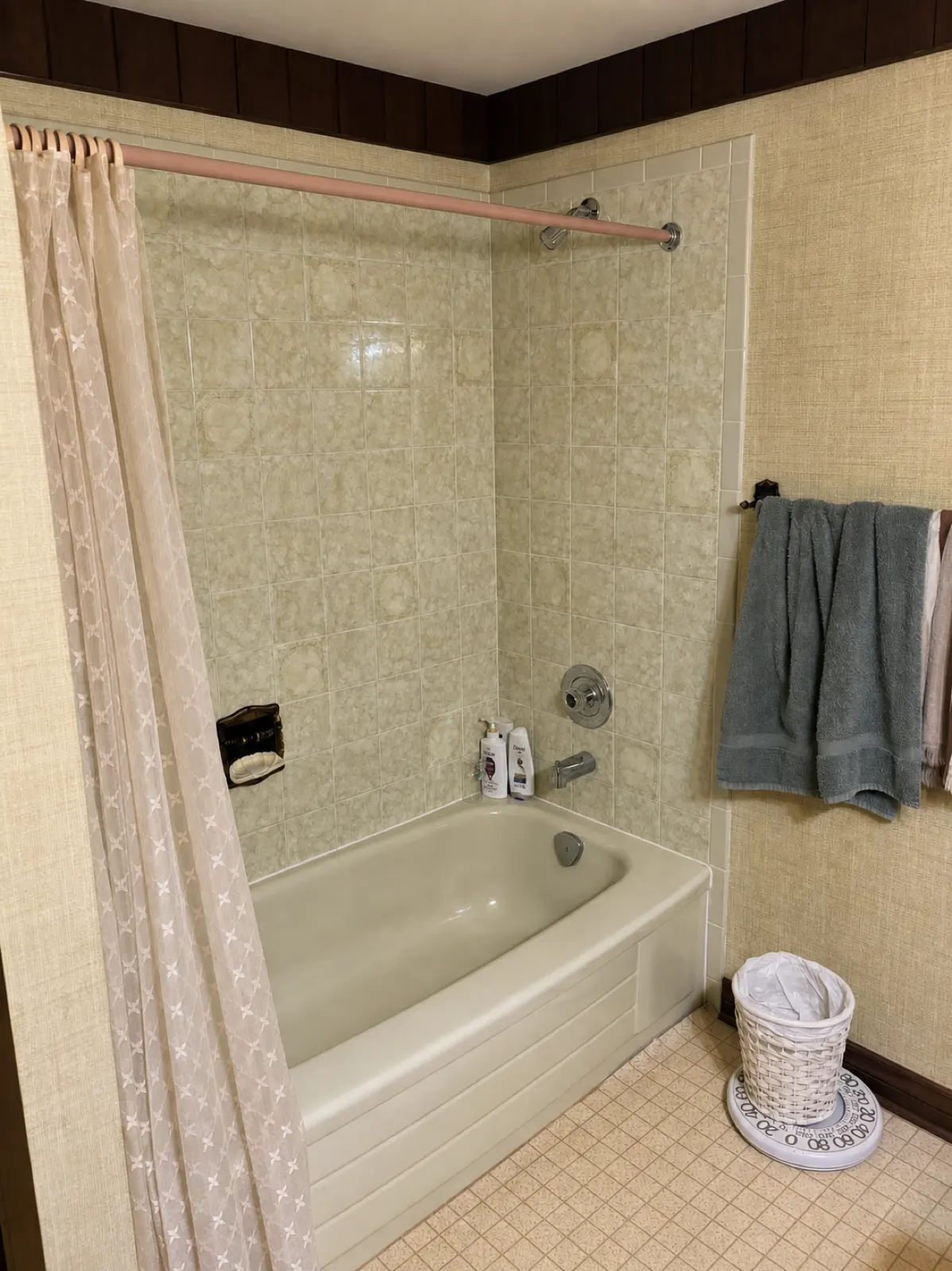 Bathroom Remodel — before